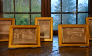 Zdjęcie przedstawia czarno-białe fotografie umieszczone w złotych ramkach, stojące na parapecie pod oknem.
