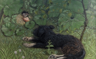 na trawie leży pies z długą czarną sierścią, pomiędzy liśćmi widać pysk małpy